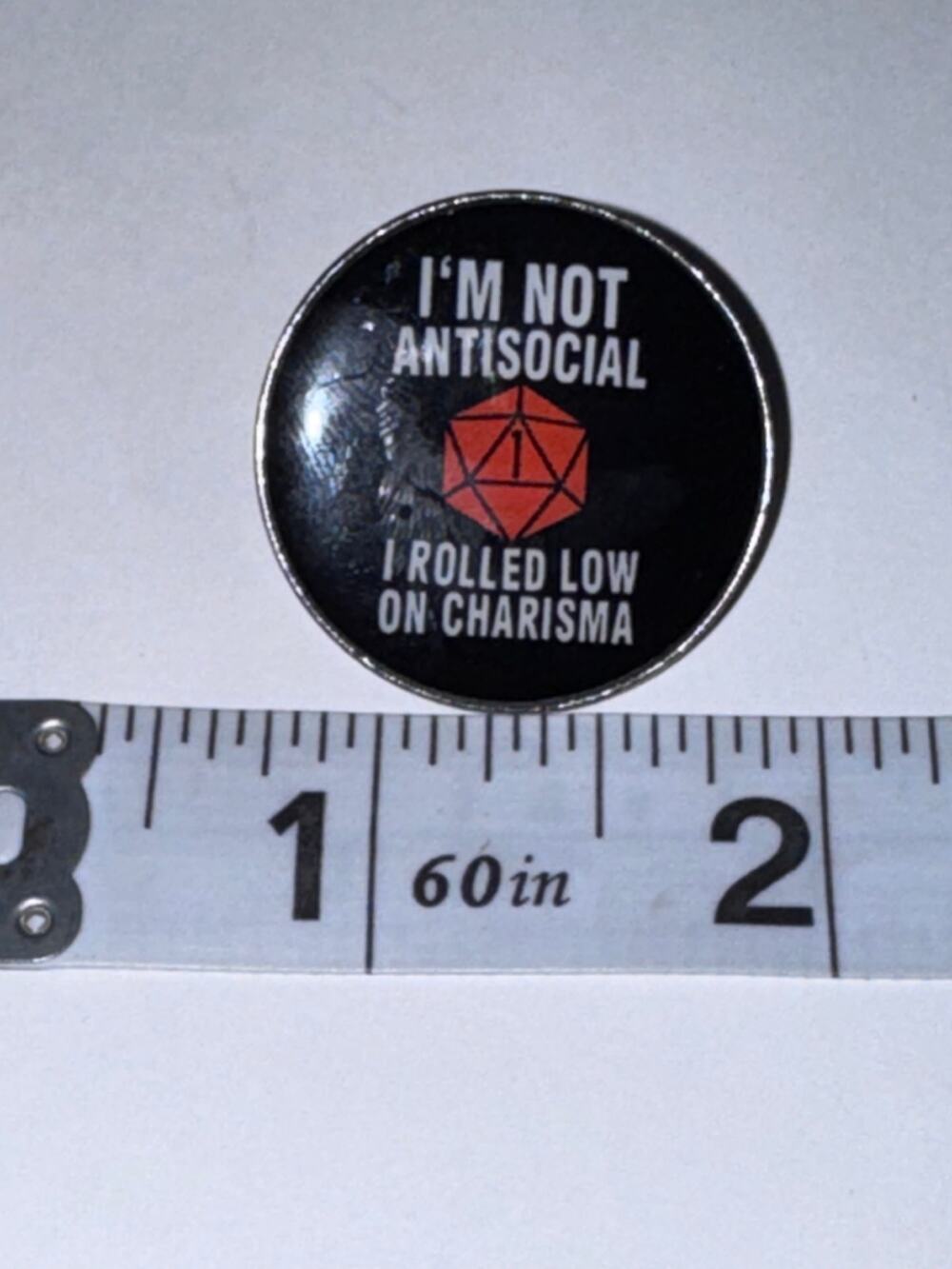 I’m not antisocial, I rolled low on charisma Pin Brooch